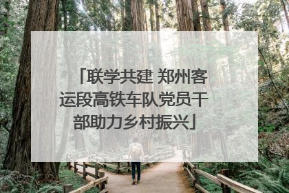 联学共建 郑州客运段高铁车队党员干部助力乡村振兴