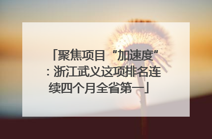 聚焦项目“加速度”：浙江武义这项排名连续四个月全省第一