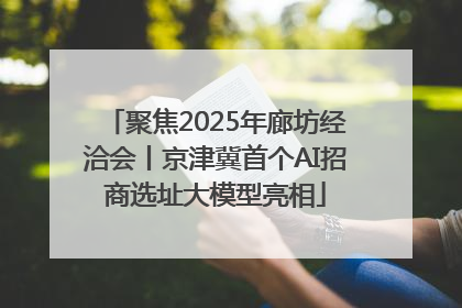 聚焦2025年廊坊经洽会丨京津冀首个AI招商选址大模型亮相