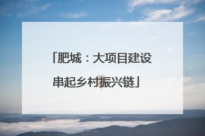 肥城：大项目建设串起乡村振兴链
