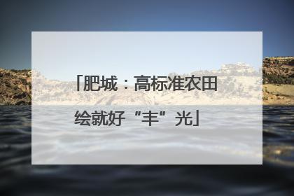 肥城：高标准农田绘就好“丰”光