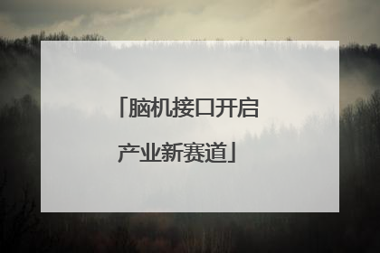 脑机接口开启产业新赛道