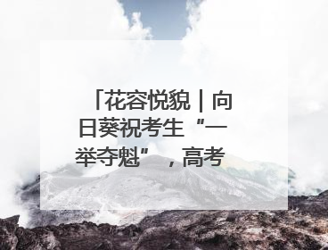 花容悦貌｜向日葵祝考生“一举夺魁”，高考带动鲜花热潮