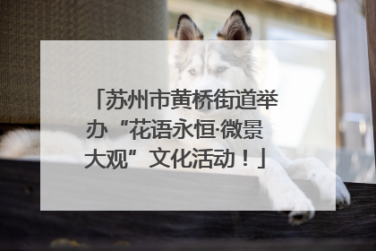 苏州市黄桥街道举办“花语永恒·微景大观”文化活动！