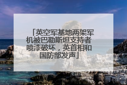 英空军基地两架军机被巴勒斯坦支持者喷漆破坏，英首相和国防部发声