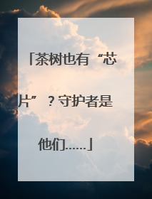 茶树也有“芯片”？守护者是他们……