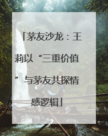 茅友沙龙：王莉以“三重价值”与茅友共探情感逻辑