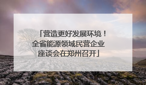 营造更好发展环境！全省能源领域民营企业座谈会在郑州召开