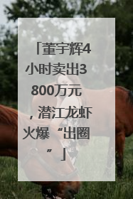 董宇辉4小时卖出3800万元，潜江龙虾火爆“出圈”