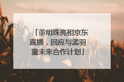 董明珠亮相京东直播，回应与孟羽童未来合作计划
