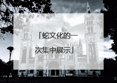 蛇文化的一次集中展示