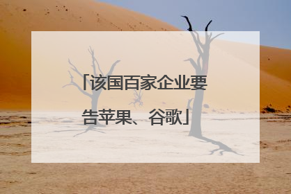 该国百家企业要告苹果、谷歌