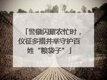 警徽闪耀农忙时，仪征多措并举守护百姓“粮袋子”