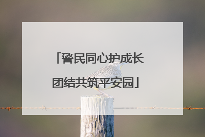 警民同心护成长 团结共筑平安园