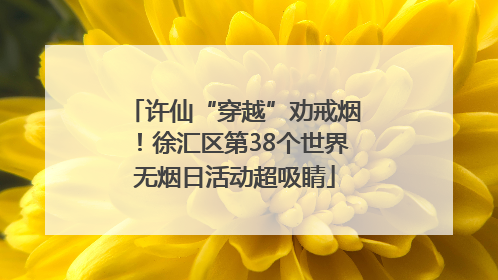 许仙“穿越”劝戒烟！徐汇区第38个世界无烟日活动超吸睛