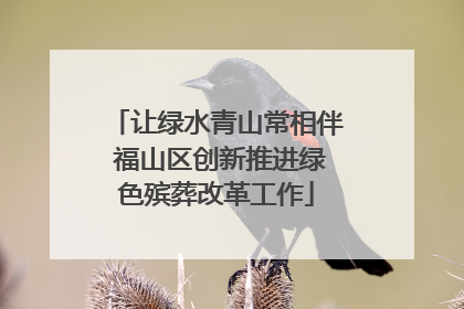 让绿水青山常相伴 福山区创新推进绿色殡葬改革工作
