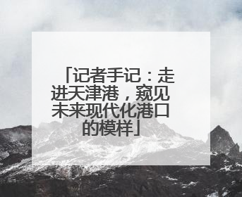 记者手记：走进天津港，窥见未来现代化港口的模样
