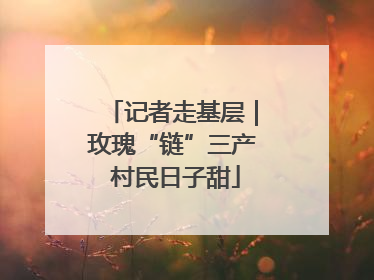 记者走基层｜玫瑰“链”三产 村民日子甜