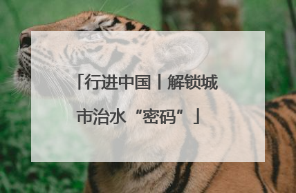行进中国丨解锁城市治水“密码”