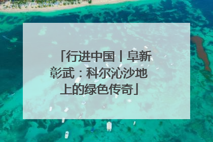 行进中国丨阜新彰武：科尔沁沙地上的绿色传奇