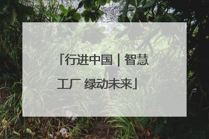 行进中国｜智慧工厂 绿动未来