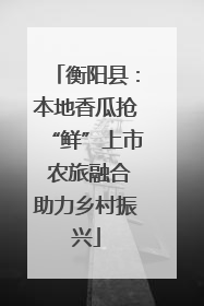 衡阳县：本地香瓜抢“鲜”上市 农旅融合助力乡村振兴