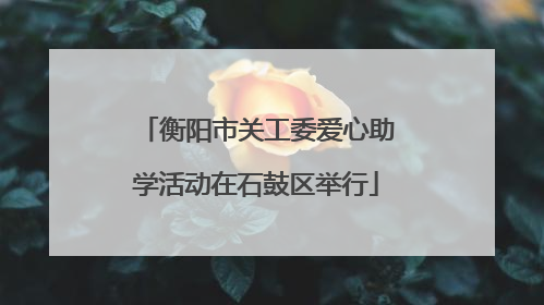 衡阳市关工委爱心助学活动在石鼓区举行