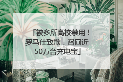 被多所高校禁用！罗马仕致歉，召回近50万台充电宝