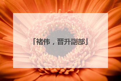 褚伟，晋升副部