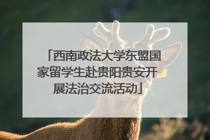 西南政法大学东盟国家留学生赴贵阳贵安开展法治交流活动