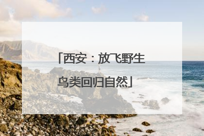 西安：放飞野生鸟类回归自然
