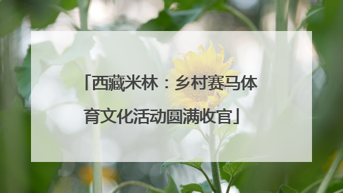 西藏米林：乡村赛马体育文化活动圆满收官