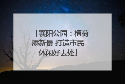 襄阳公园：植荷添新景 打造市民休闲好去处