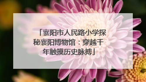 襄阳市人民路小学探秘襄阳博物馆：穿越千年触摸历史脉搏