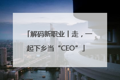 解码新职业丨走，一起下乡当“CEO”