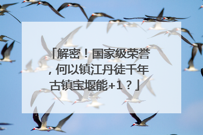 解密！国家级荣誉，何以镇江丹徒千年古镇宝堰能+1？