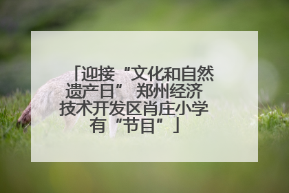 迎接“文化和自然遗产日” 郑州经济技术开发区肖庄小学有“节目”