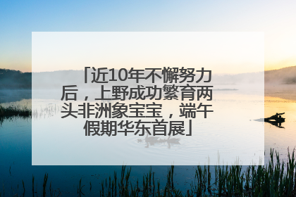 近10年不懈努力后，上野成功繁育两头非洲象宝宝，端午假期华东首展