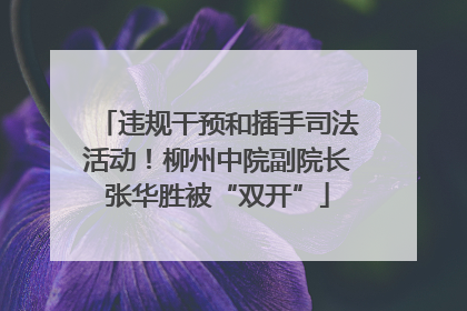 违规干预和插手司法活动！柳州中院副院长张华胜被“双开”