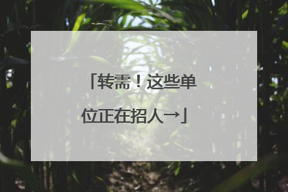 转需！这些单位正在招人→