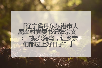 辽宁省丹东东港市大鹿岛村党委书记张宗义：“振兴海岛，让乡亲们都过上好日子”