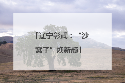 辽宁彰武：“沙窝子”焕新颜