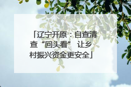 辽宁开原：自查清查“回头看” 让乡村振兴资金更安全