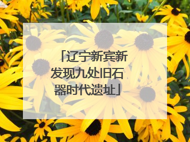 辽宁新宾新发现九处旧石器时代遗址
