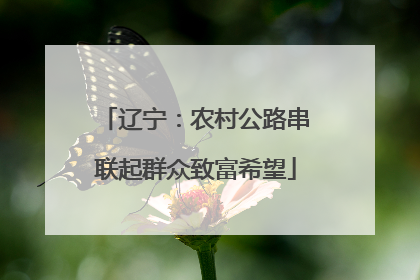 辽宁：农村公路串联起群众致富希望