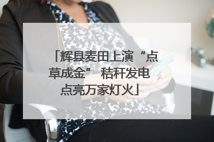 辉县麦田上演“点草成金” 秸秆发电点亮万家灯火