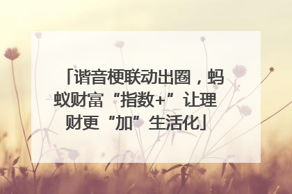 谐音梗联动出圈，蚂蚁财富“指数+”让理财更“加”生活化