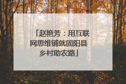赵艳芳：用互联网思维铺就固阳县乡村助农路