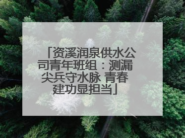 资溪润泉供水公司青年班组：测漏尖兵守水脉 青春建功显担当