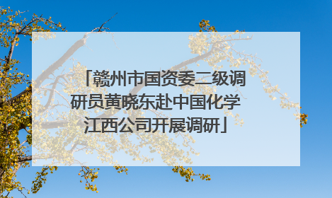 赣州市国资委二级调研员黄晓东赴中国化学江西公司开展调研